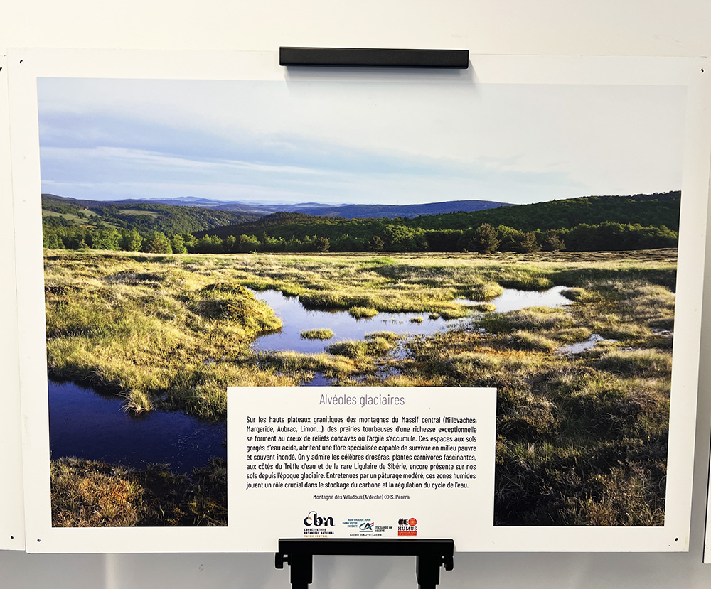 Exposition photo